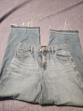 Lee Light Blue Denim Jeans, High-Rise And Cropped